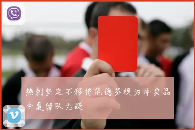 热刺坚定不移将范德芬视为非卖品今夏留队无疑